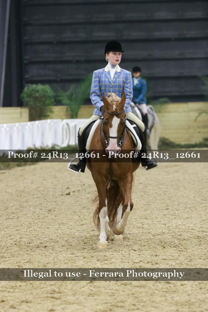Proof Number 24R13_12661