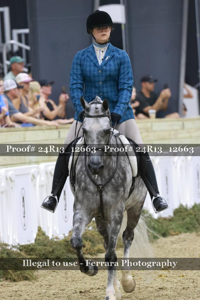 Proof Number 24R13_12663