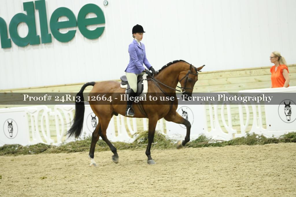 Proof Number 24R13_12664