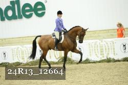 24R13_12664 thumbnail