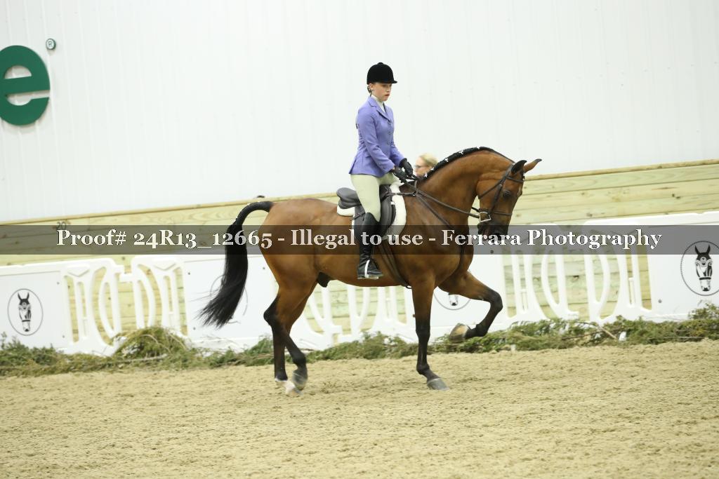 Proof Number 24R13_12665