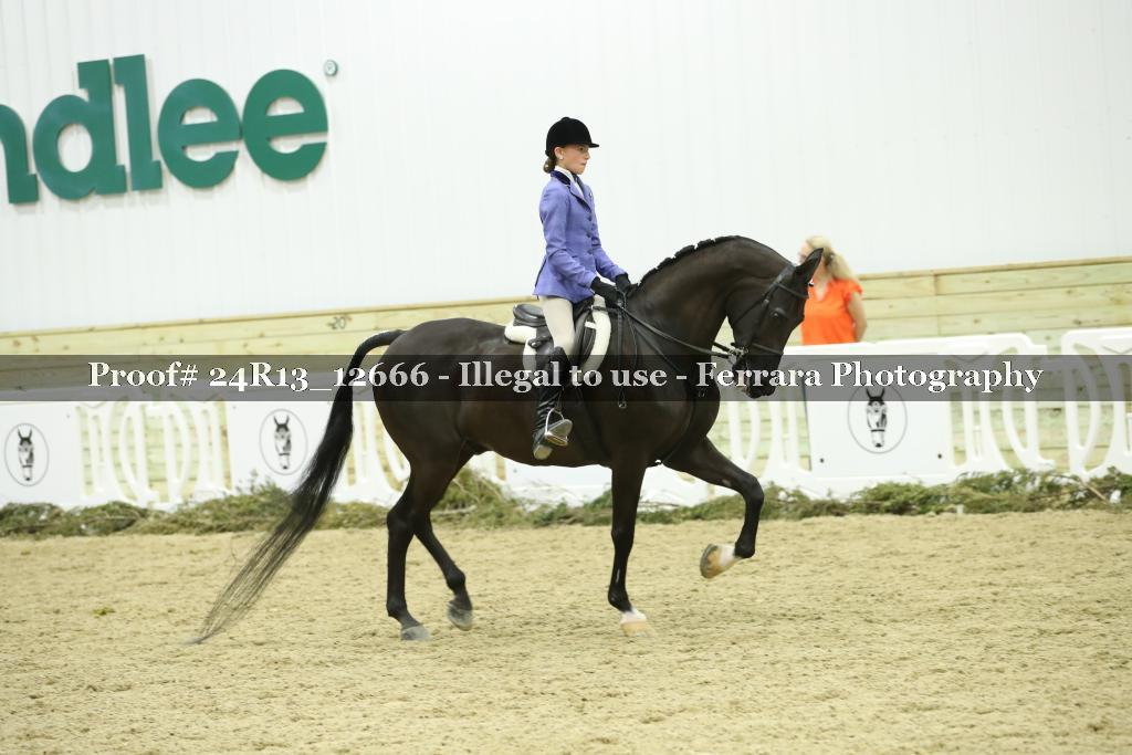 Proof Number 24R13_12666