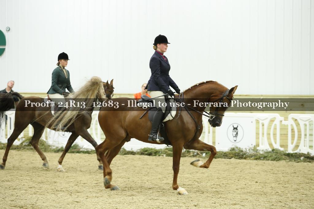 Proof Number 24R13_12683