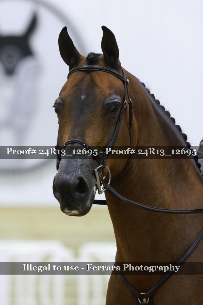Proof Number 24R13_12695