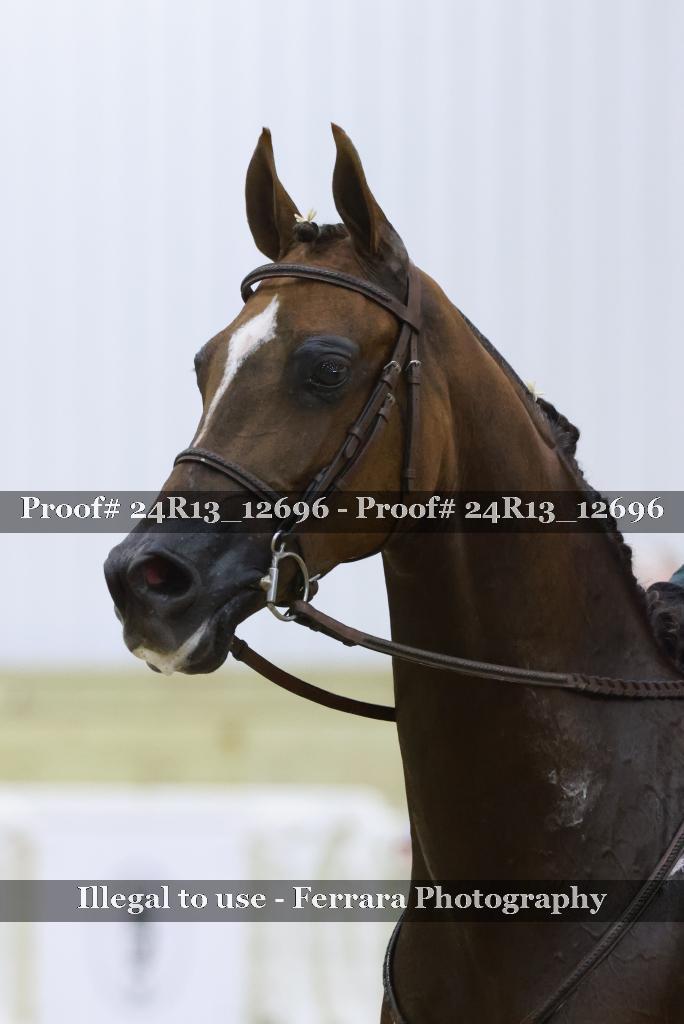 Proof Number 24R13_12696