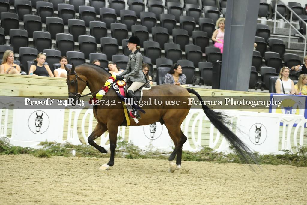 Proof Number 24R13_12742