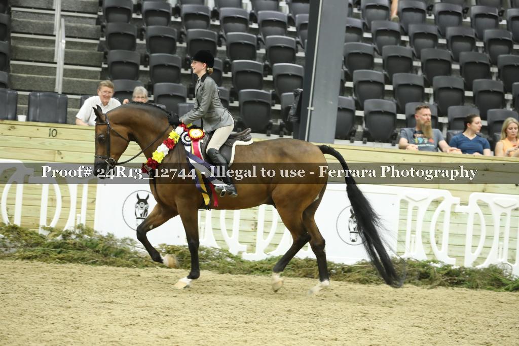 Proof Number 24R13_12744
