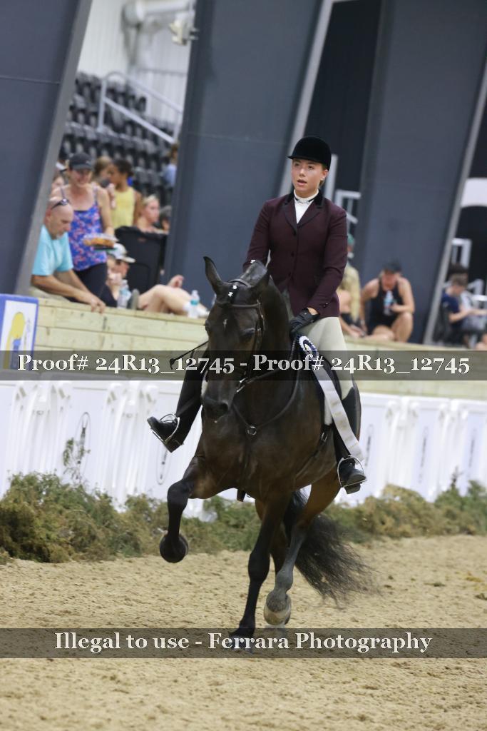 Proof Number 24R13_12745