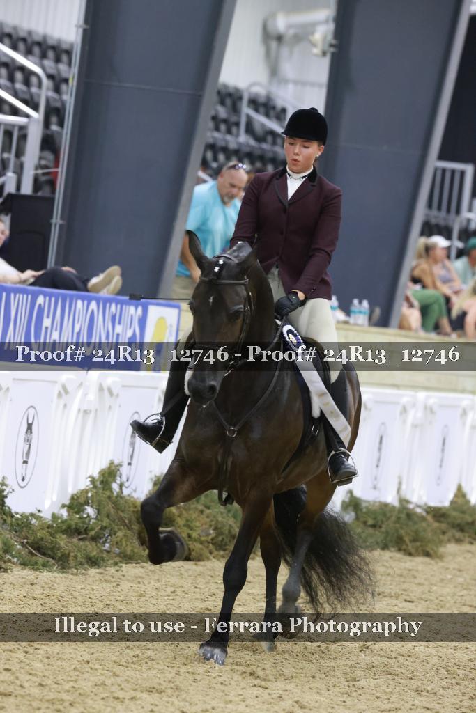 Proof Number 24R13_12746