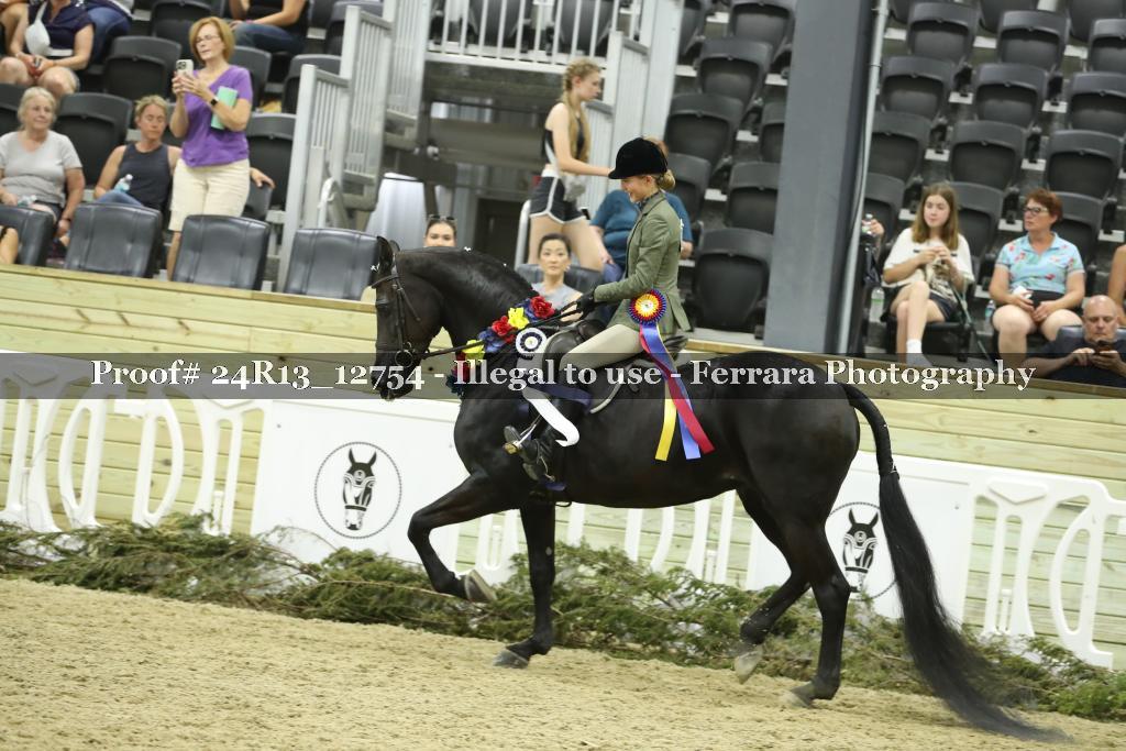 Proof Number 24R13_12754