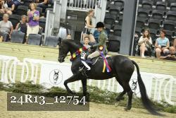 24R13_12754 thumbnail