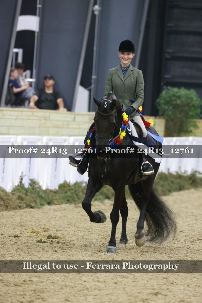 Proof Number 24R13_12761