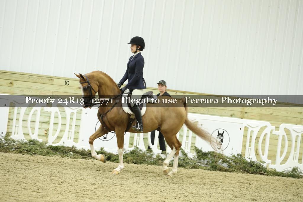 Proof Number 24R13_12771