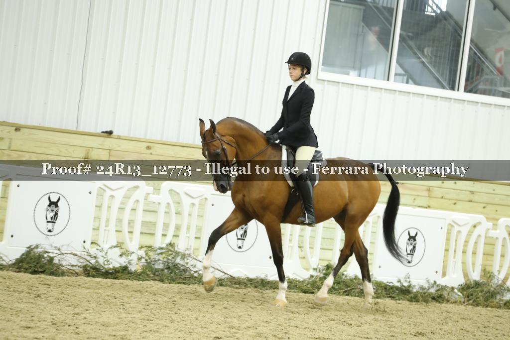 Proof Number 24R13_12773