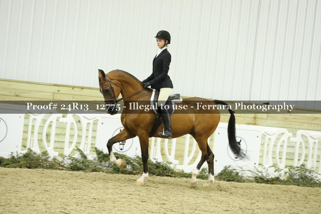 Proof Number 24R13_12775