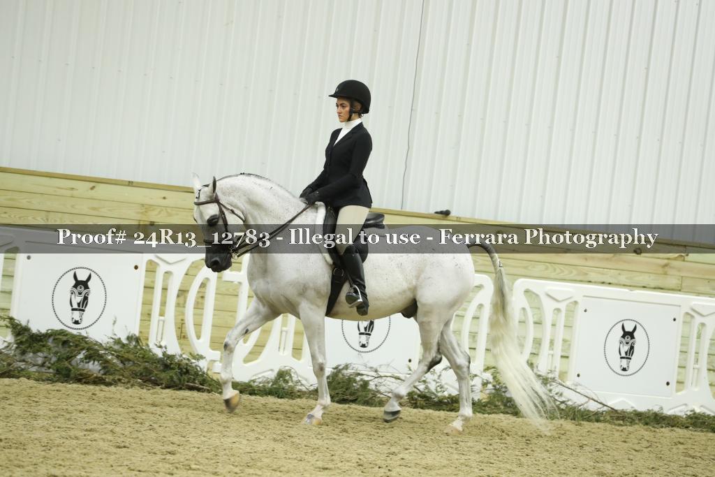 Proof Number 24R13_12783