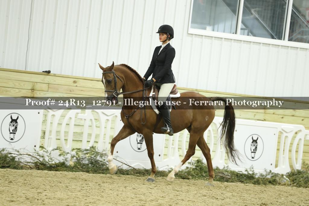 Proof Number 24R13_12791