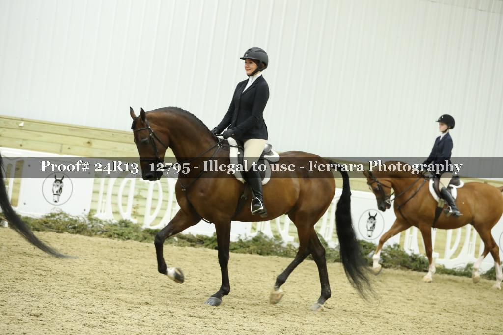 Proof Number 24R13_12795