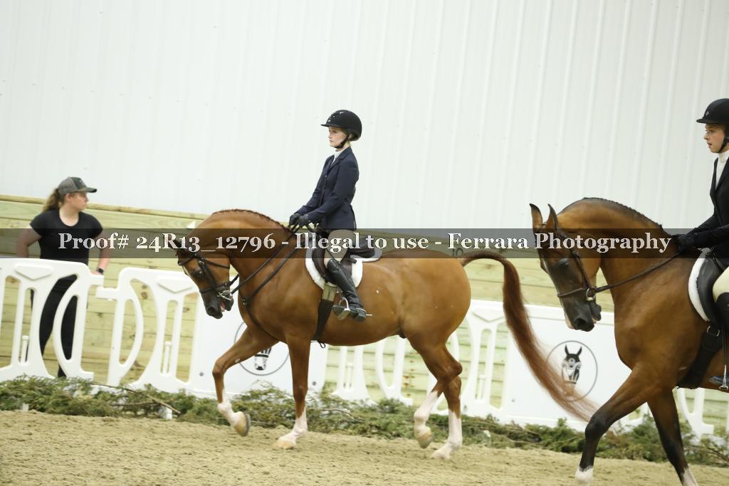 Proof Number 24R13_12796