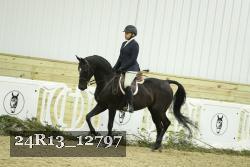 24R13_12797 thumbnail