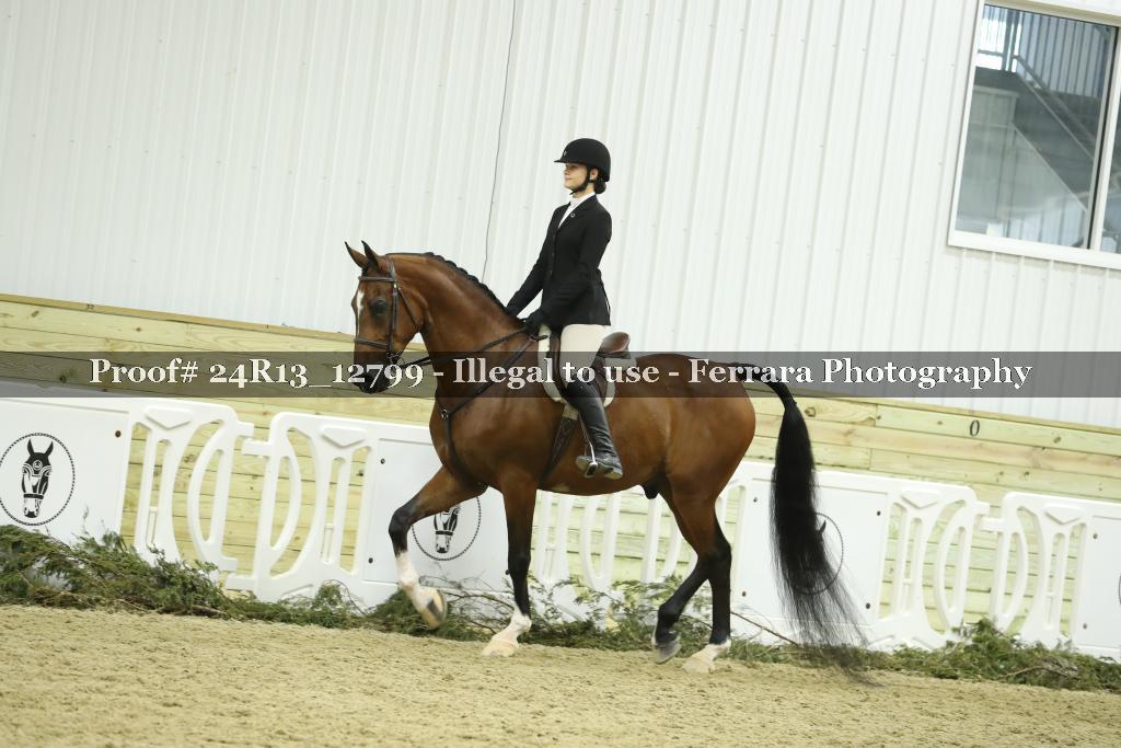 Proof Number 24R13_12799