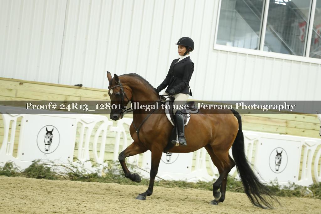 Proof Number 24R13_12801