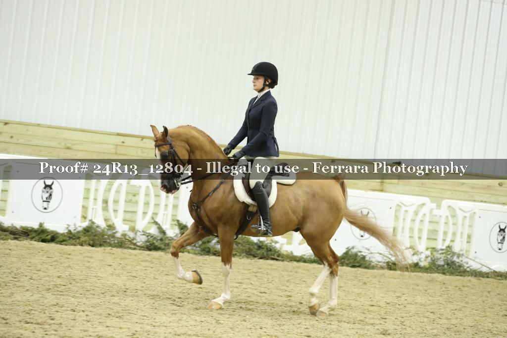 Proof Number 24R13_12804