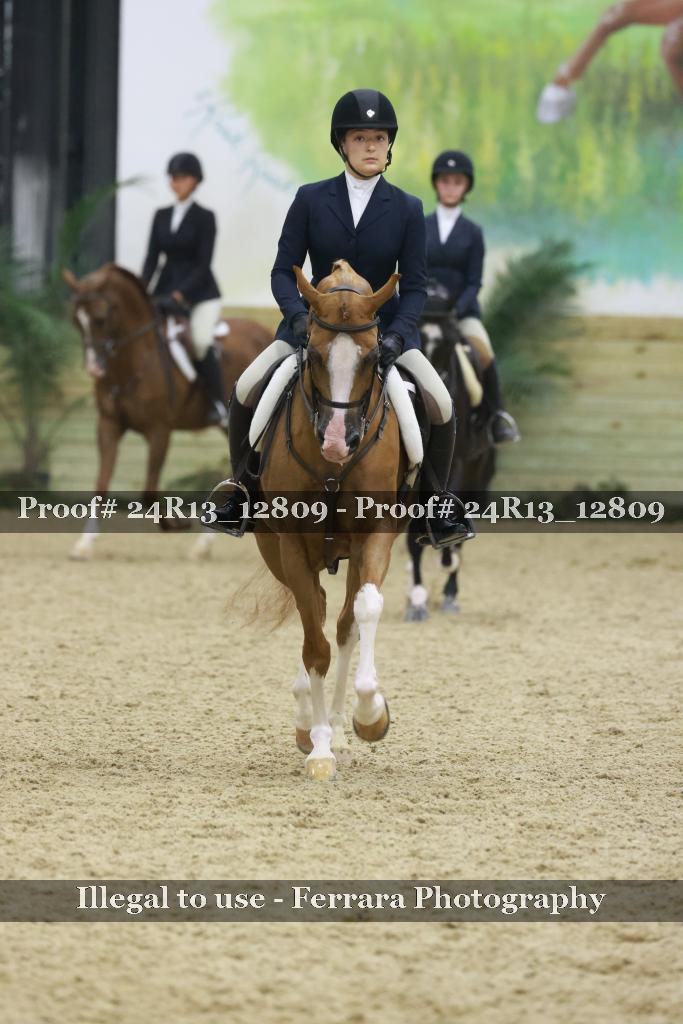 Proof Number 24R13_12809