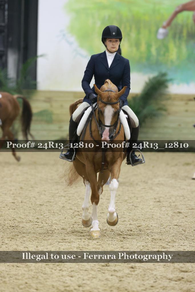 Proof Number 24R13_12810