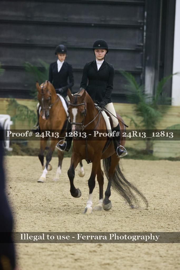 Proof Number 24R13_12813