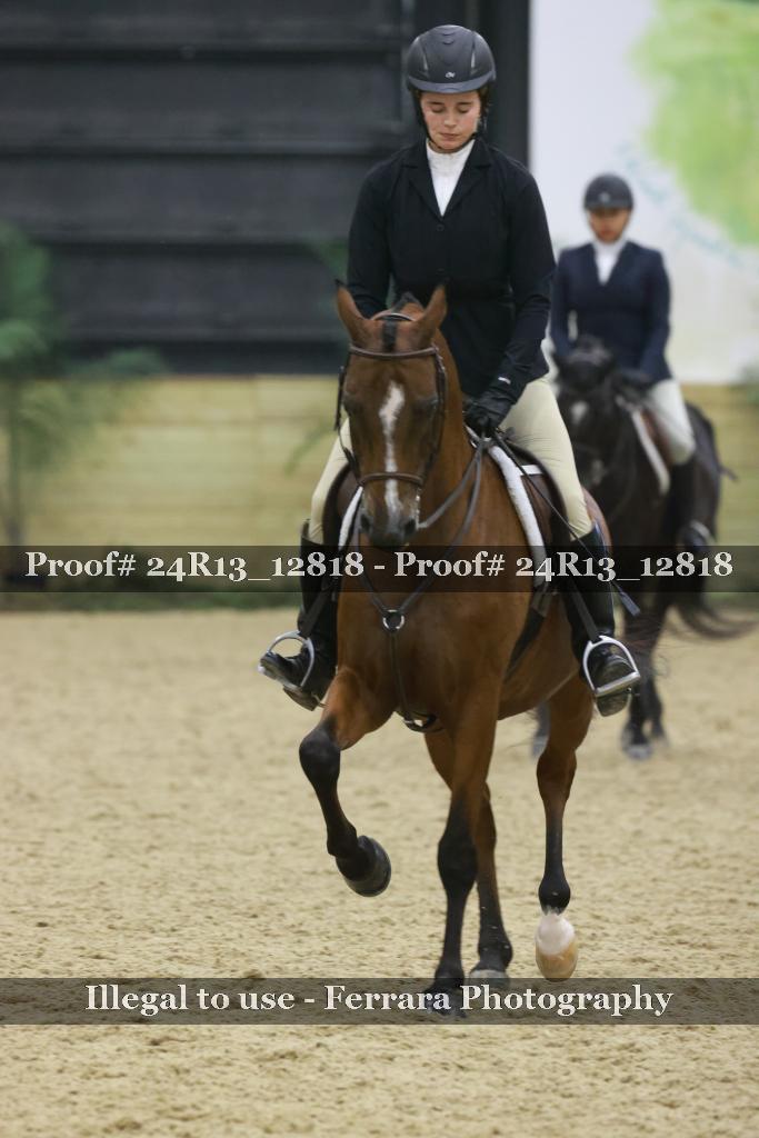 Proof Number 24R13_12818