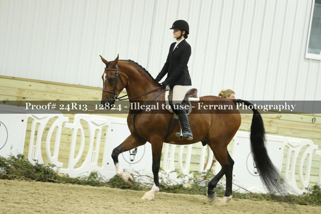 Proof Number 24R13_12824