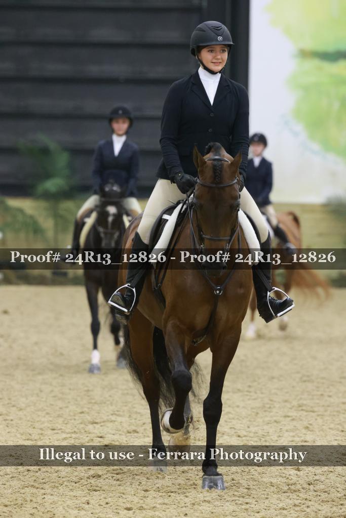 Proof Number 24R13_12826