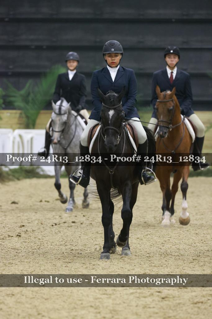 Proof Number 24R13_12834