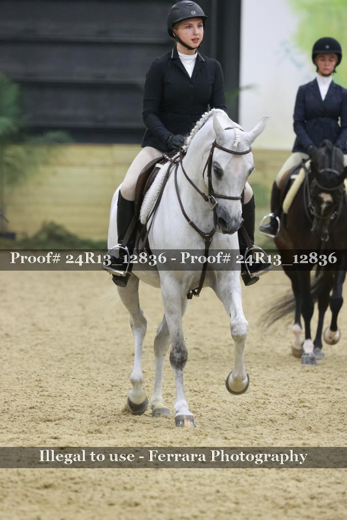 Proof Number 24R13_12836