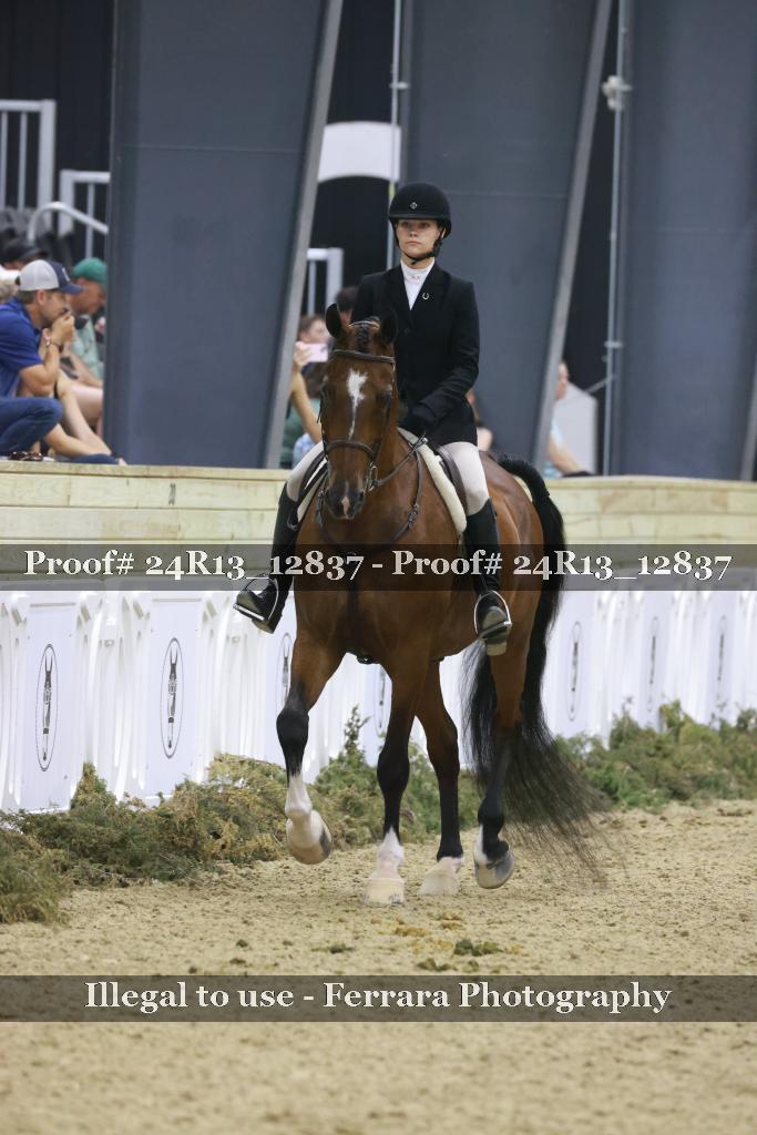 Proof Number 24R13_12837