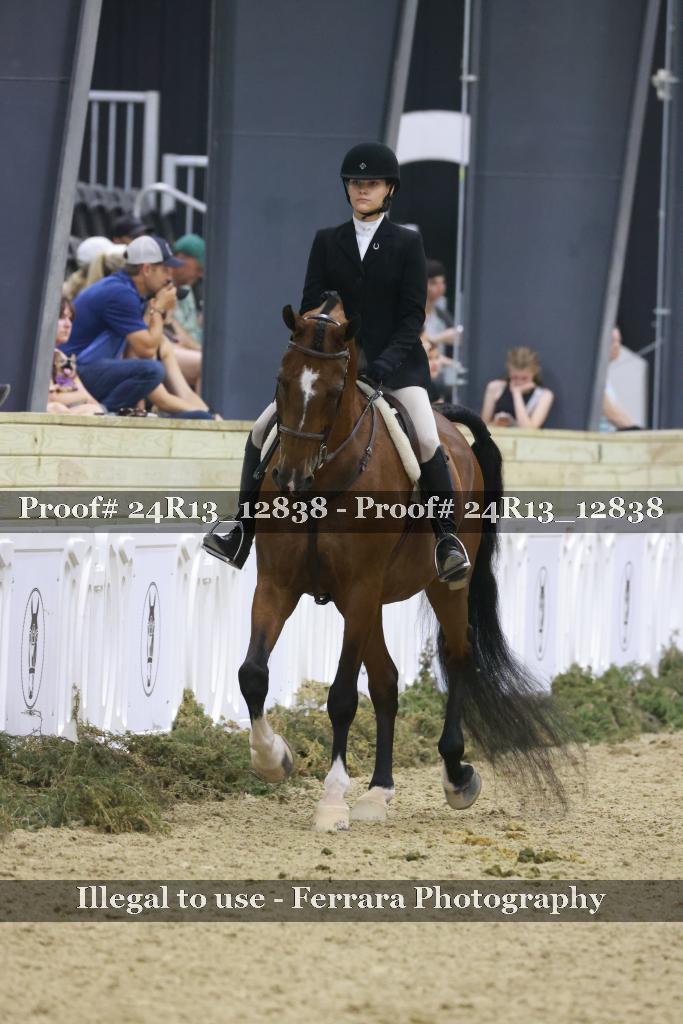 Proof Number 24R13_12838