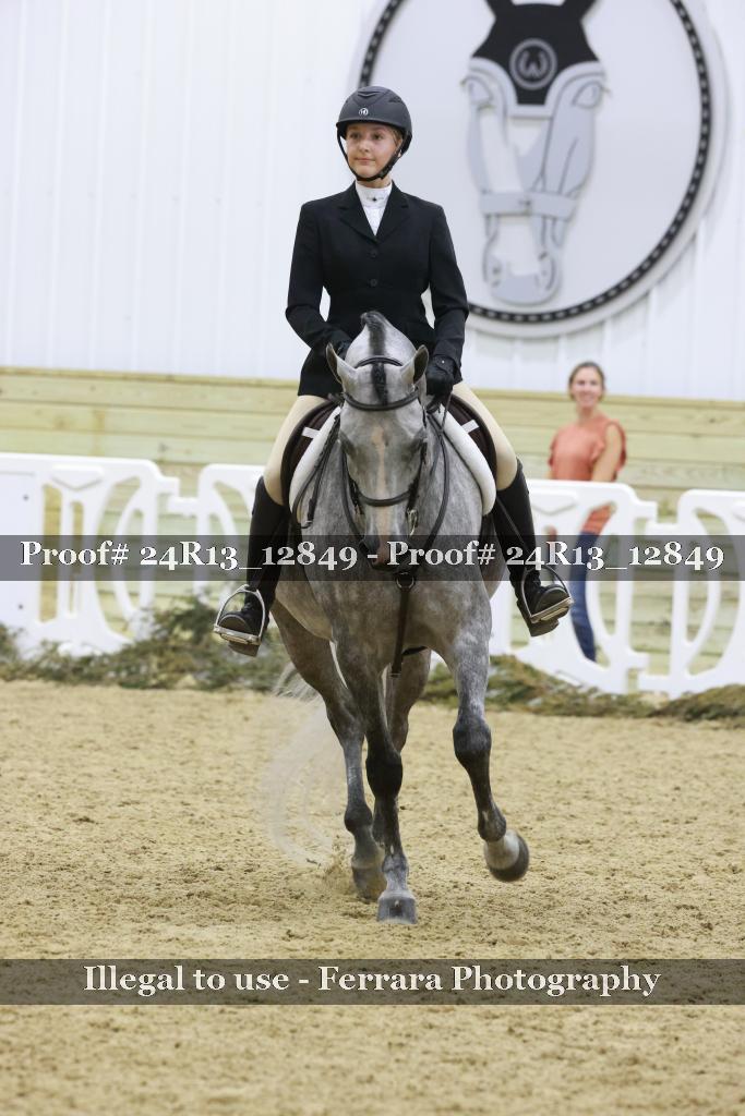 Proof Number 24R13_12849