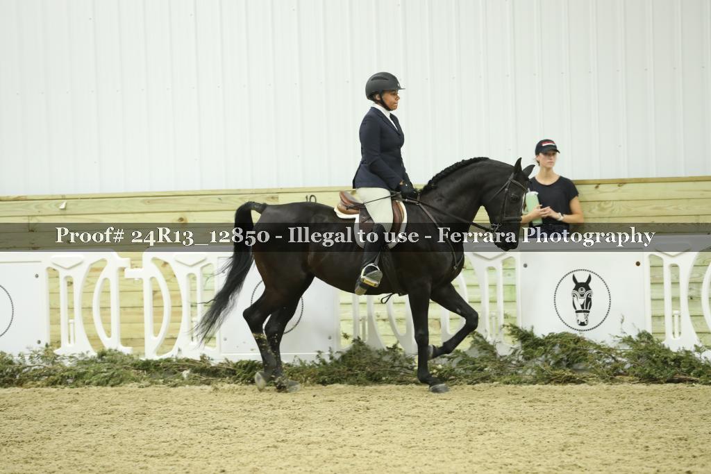 Proof Number 24R13_12850