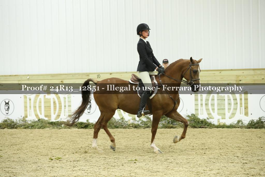 Proof Number 24R13_12851