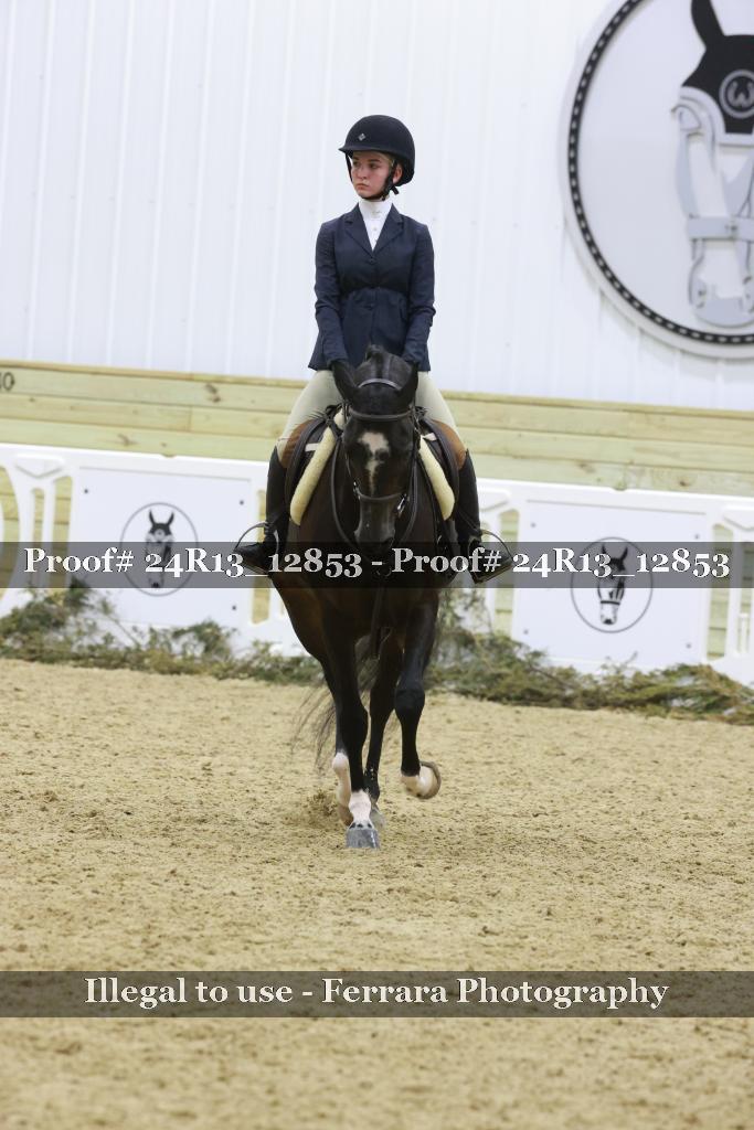 Proof Number 24R13_12853