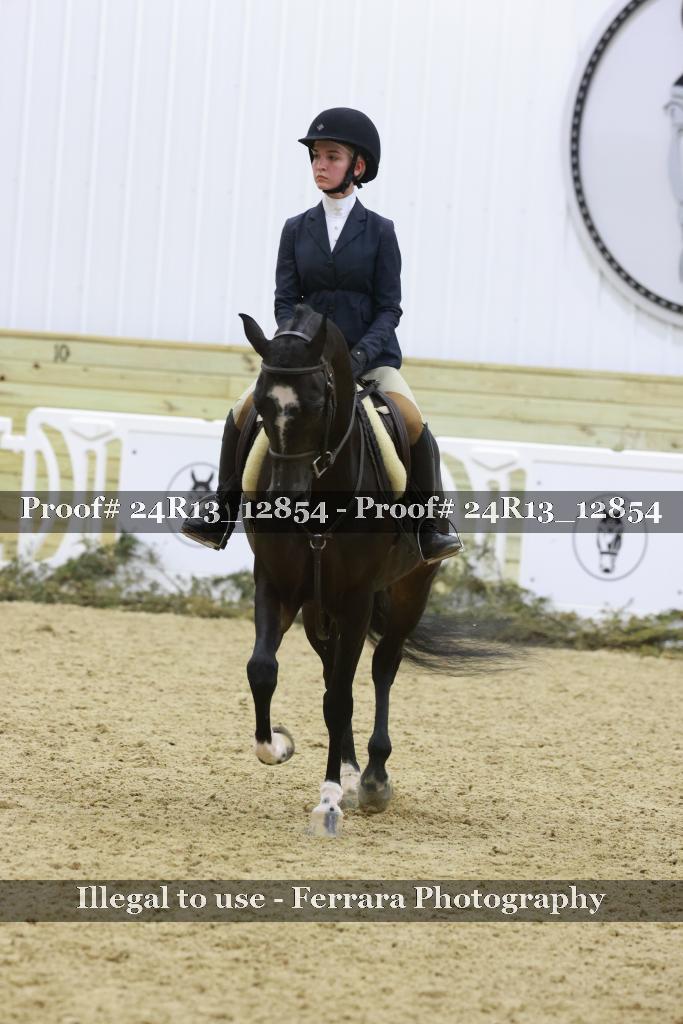 Proof Number 24R13_12854