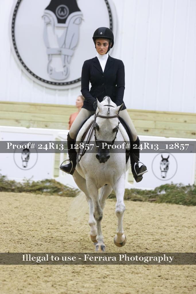 Proof Number 24R13_12857