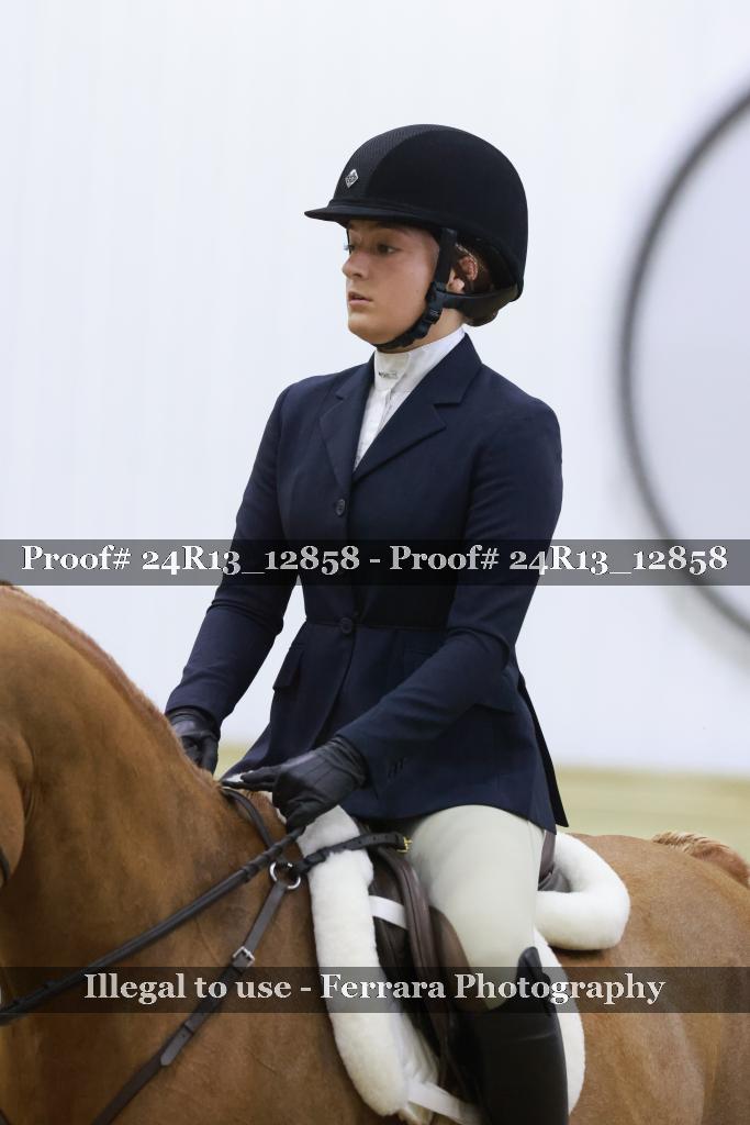 Proof Number 24R13_12858