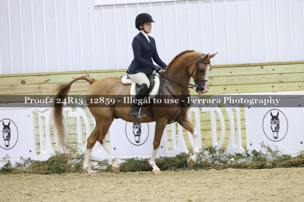 Proof Number 24R13_12859