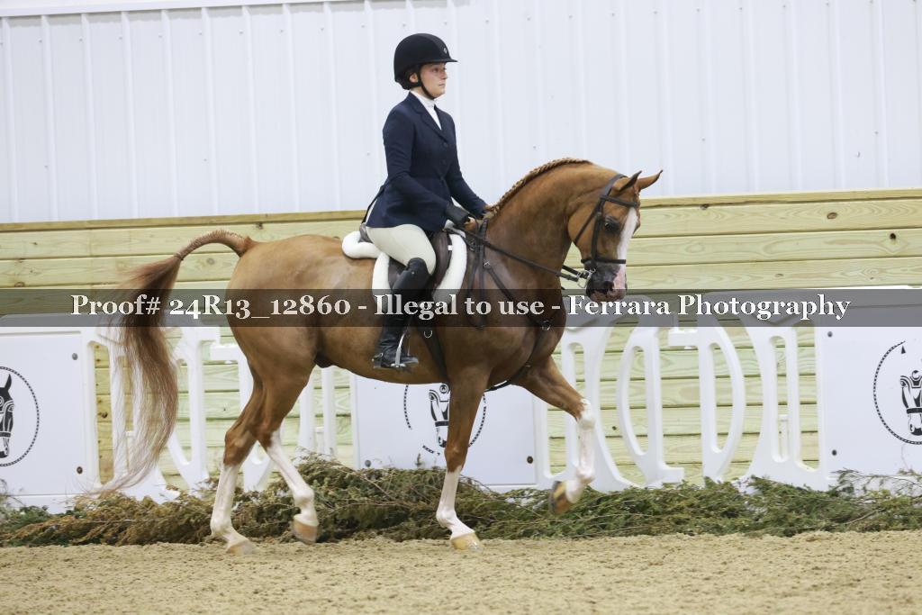 Proof Number 24R13_12860