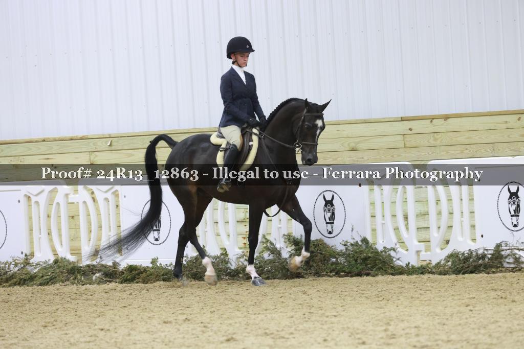 Proof Number 24R13_12863