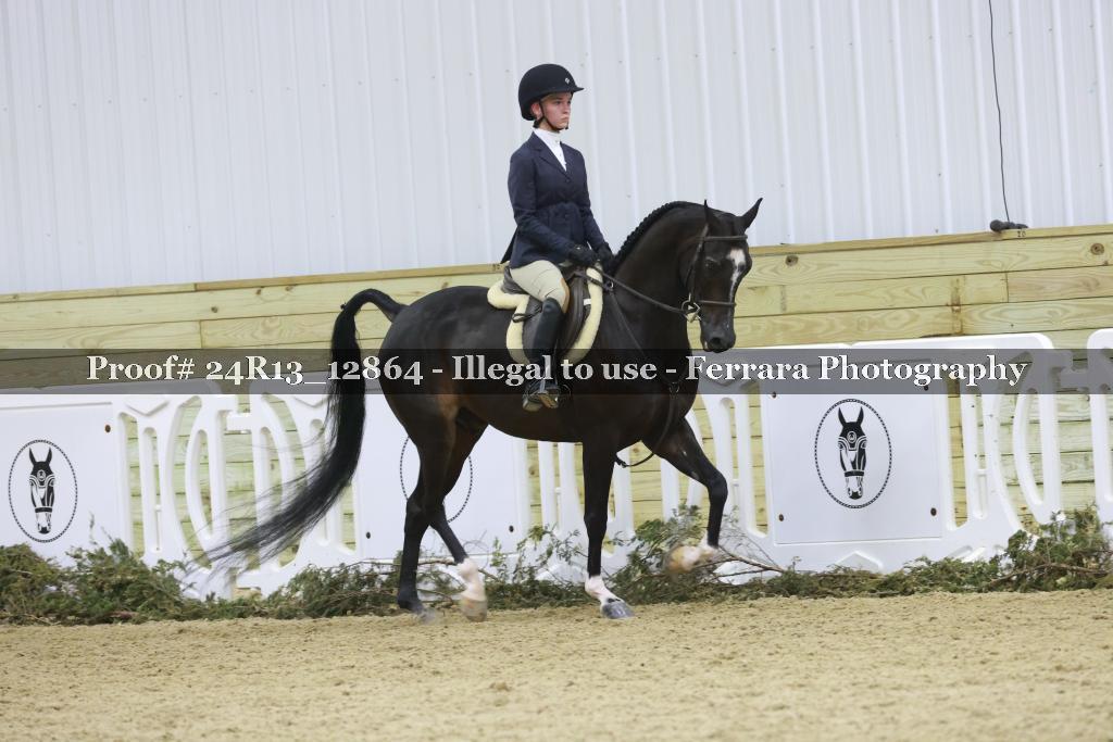 Proof Number 24R13_12864