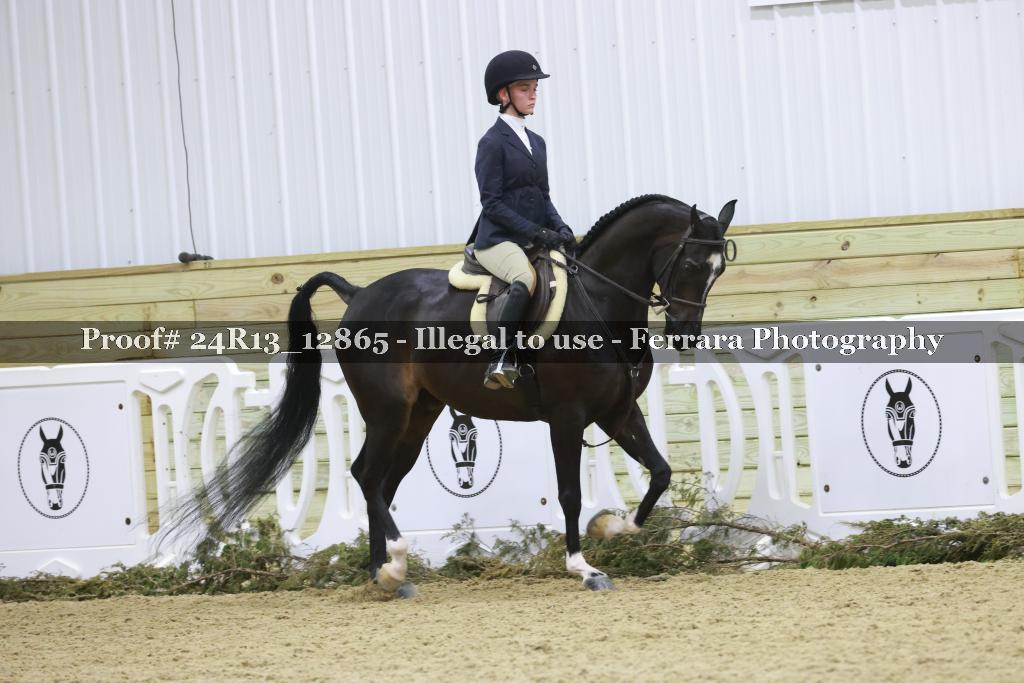 Proof Number 24R13_12865
