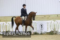 24R13_12866 thumbnail